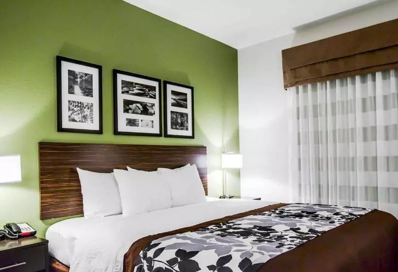 キングサイズベッドのスイートルーム, Sleep Inn & Suites Marion  Military Institute