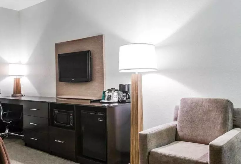 キングサイズベッドのスイートルーム, Sleep Inn & Suites Marion  Military Institute