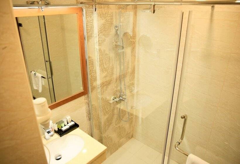 اتاق کلاس بیزنس, Swiss Inn Nexus