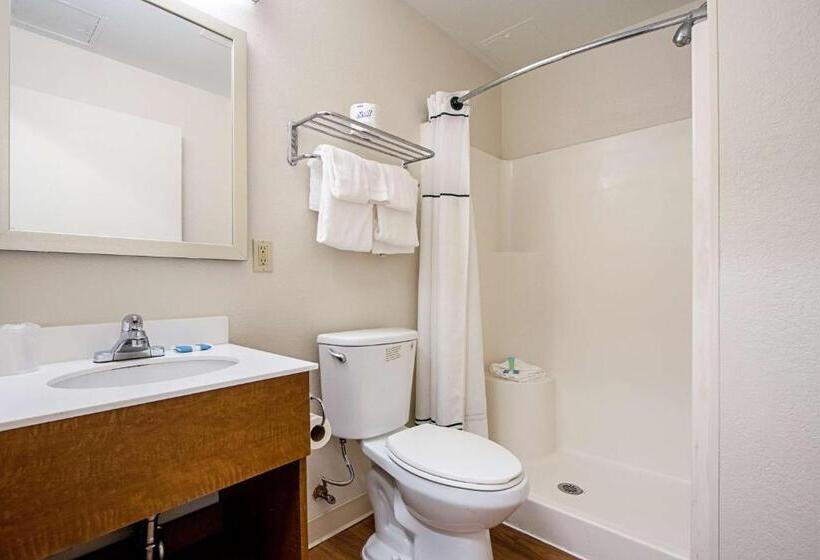 استودیوی استاندارد, Welcome Suiteso Fallon