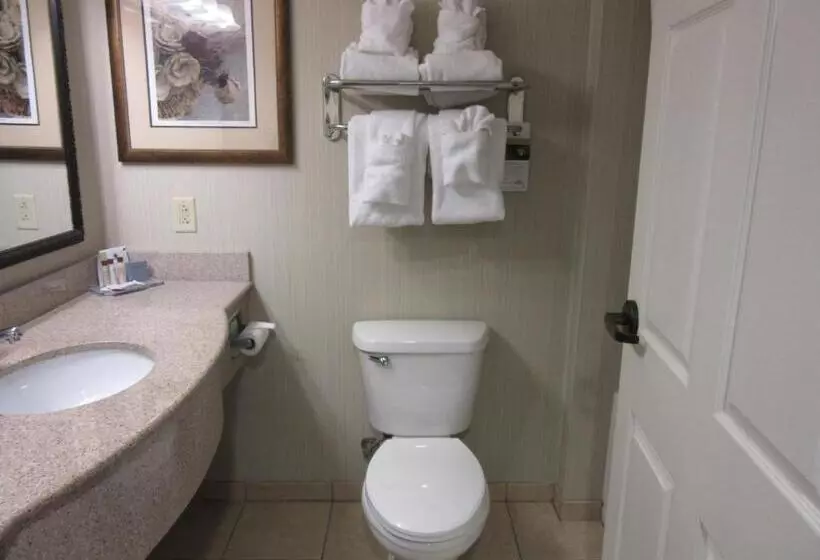 キングサイズベッドのデラックスルーム, Wingate By Wyndham Charleston Southern University