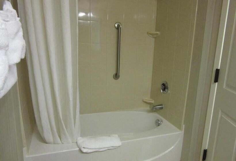 带大床的豪华间, Wingate By Wyndham Charleston Southern University