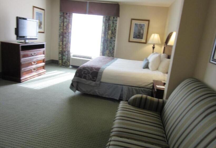 Deluxe Kamer met Kingsize Bed, Wingate By Wyndham Charleston Southern University
