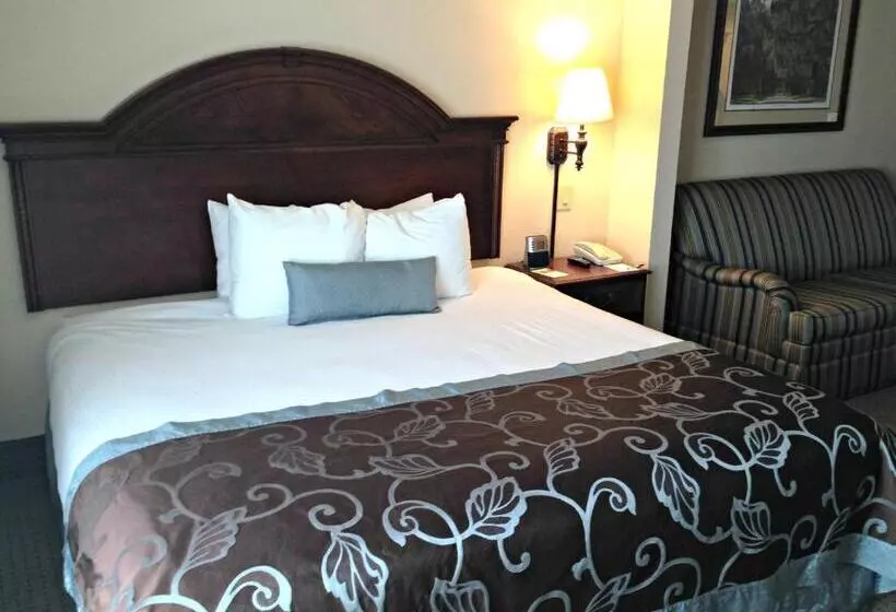 キングサイズベッドのデラックスルーム, Wingate By Wyndham Charleston Southern University