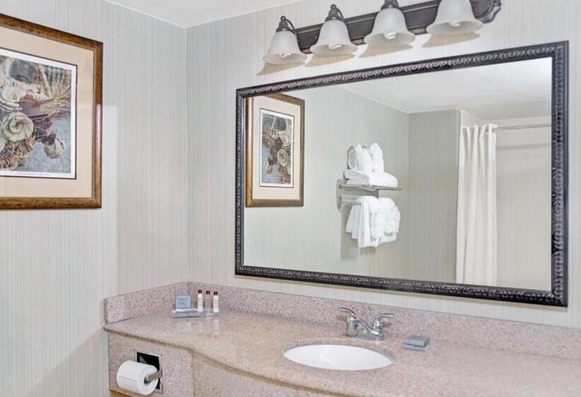 带大床的复式套间, Wingate By Wyndham Charleston Southern University