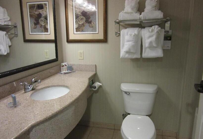 Deluxe Suite met Kingsize Bed, Wingate By Wyndham Charleston Southern University