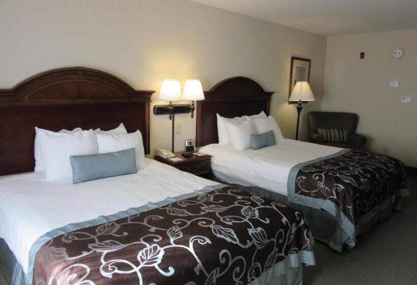 StandaardKamer, Wingate By Wyndham Charleston Southern University