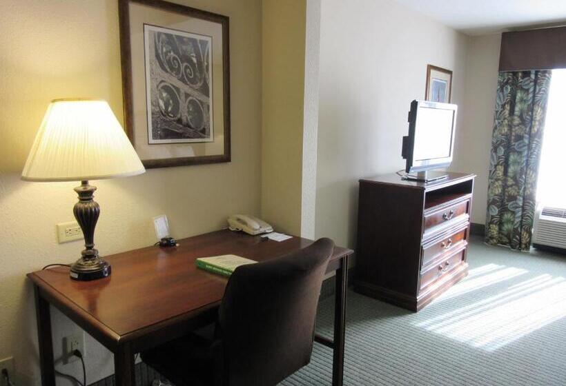 带大床的标准间, Wingate By Wyndham Charleston Southern University