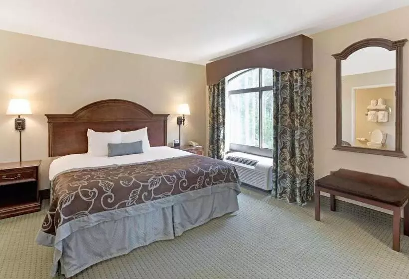 キングサイズベッドのスタンダードルーム, Wingate By Wyndham Charleston Southern University