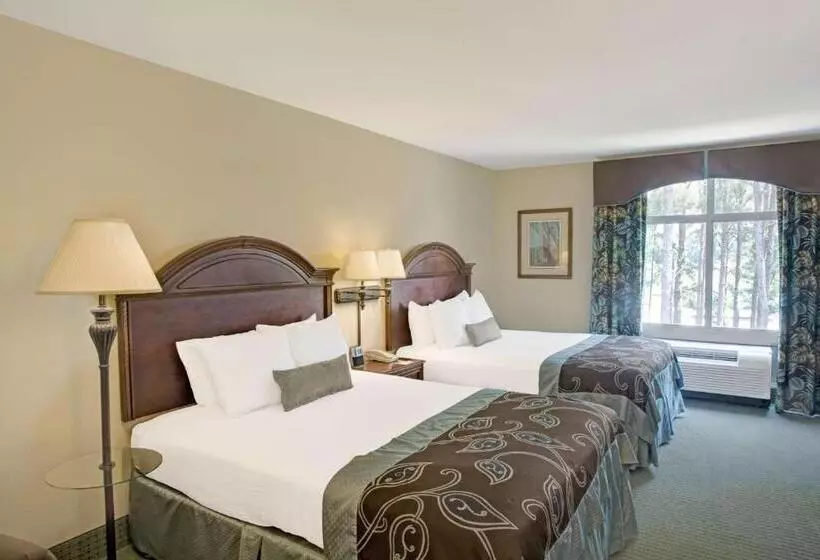 障害者適応デラックスルーム, Wingate By Wyndham Charleston Southern University