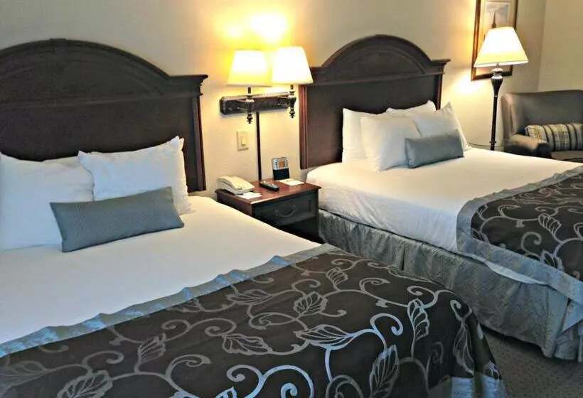 障害者適応デラックスルーム, Wingate By Wyndham Charleston Southern University