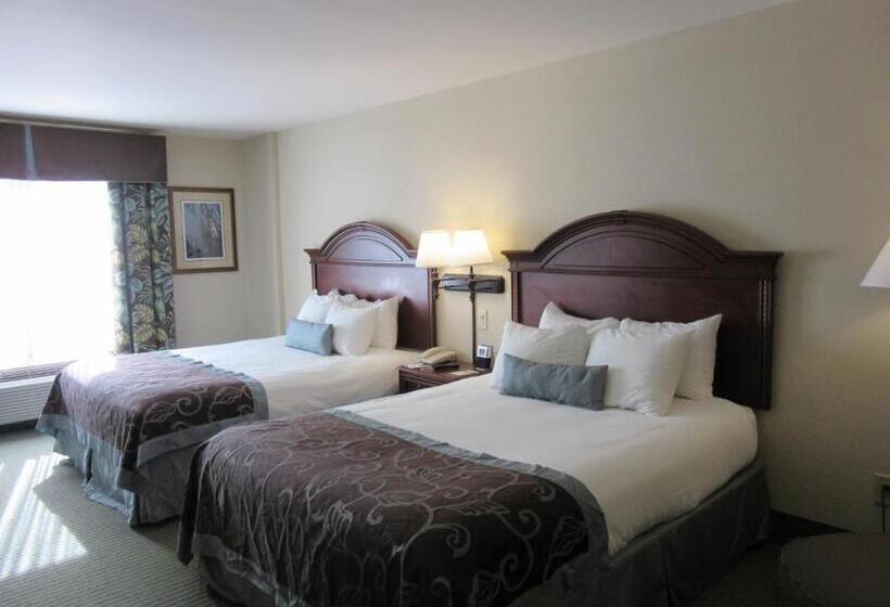 Deluxe Kamer Aangepast voor Gehandicapten, Wingate By Wyndham Charleston Southern University