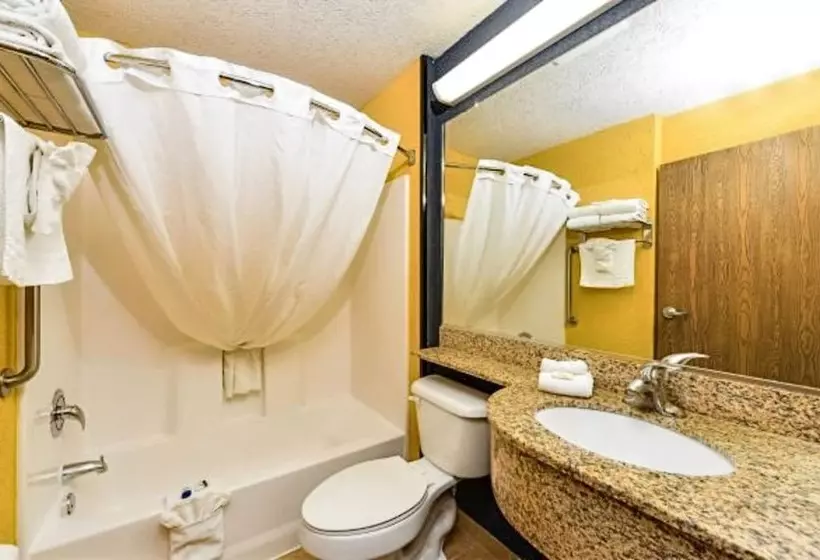 スタンダードスタジオ, Microtel Inn & Suites By Wyndham New Braunfels I 35