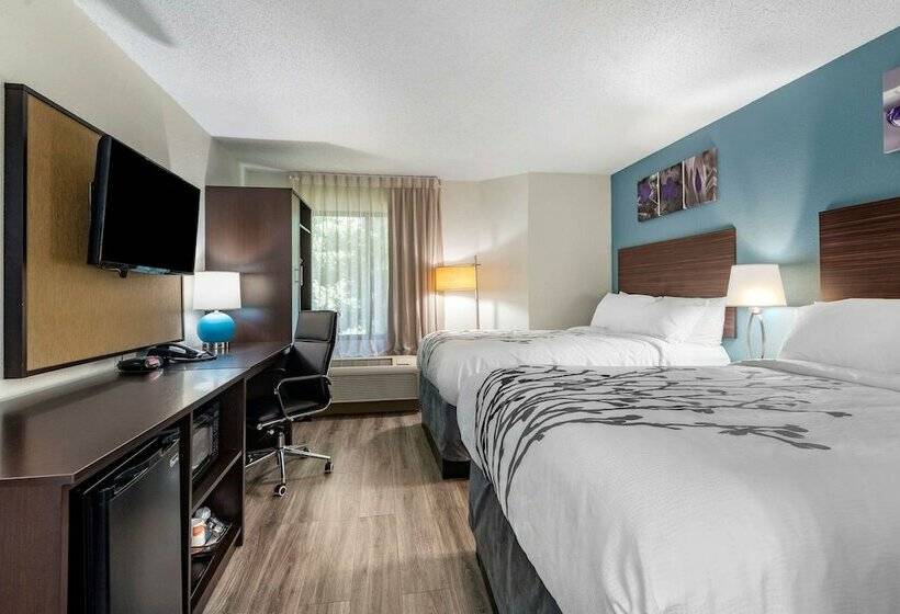 غرفه قياسيه سريرين مزدوجين, Sleep Inn Salisbury I85