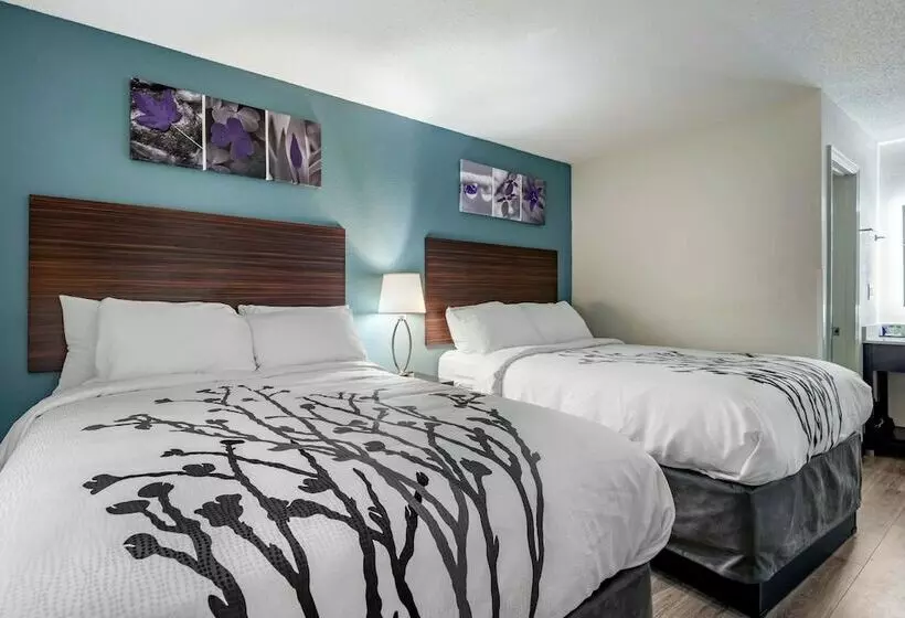 ２ダブルベッドのスタンダードルーム, Sleep Inn  Salisbury I85