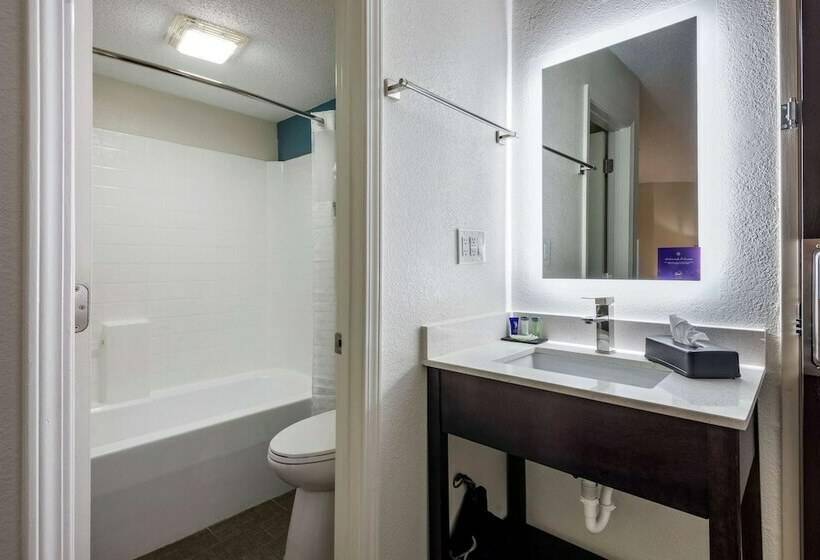 غرفه قياسيه سريرين مزدوجين, Sleep Inn Salisbury I85