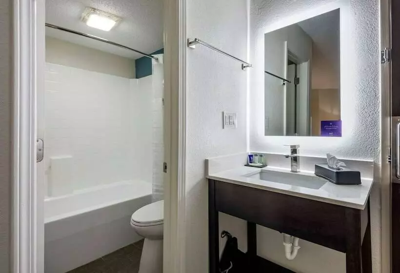 ２ダブルベッドのスタンダードルーム, Sleep Inn  Salisbury I85