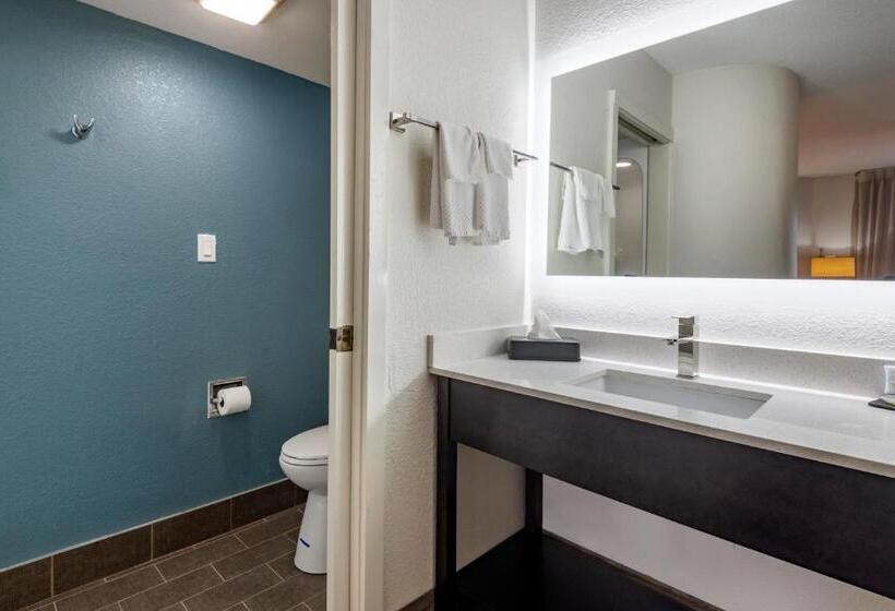 Номер Стандарт, Sleep Inn  Salisbury I85