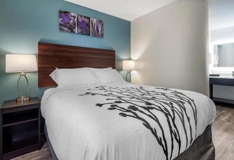 غرفة قياسية, Sleep Inn Salisbury I85