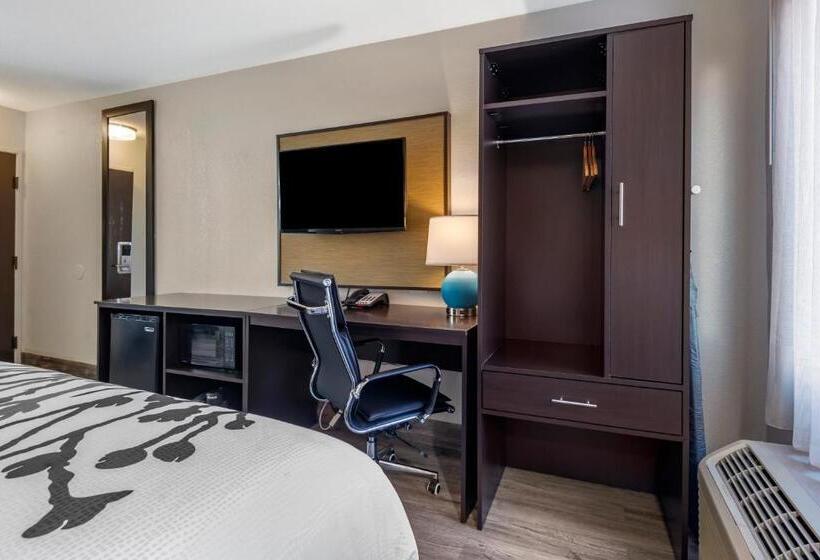 غرفة قياسية, Sleep Inn Salisbury I85