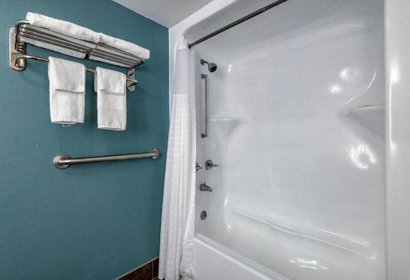 غرفه قياسيه سريرين مزدوجين, Sleep Inn Salisbury I85