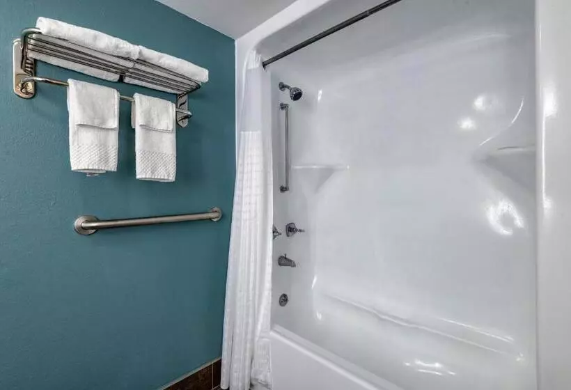 ２ダブルベッドのスタンダードルーム, Sleep Inn  Salisbury I85