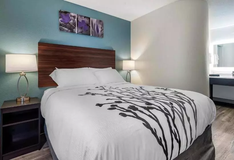 身障者適用スタンダードルーム, Sleep Inn  Salisbury I85