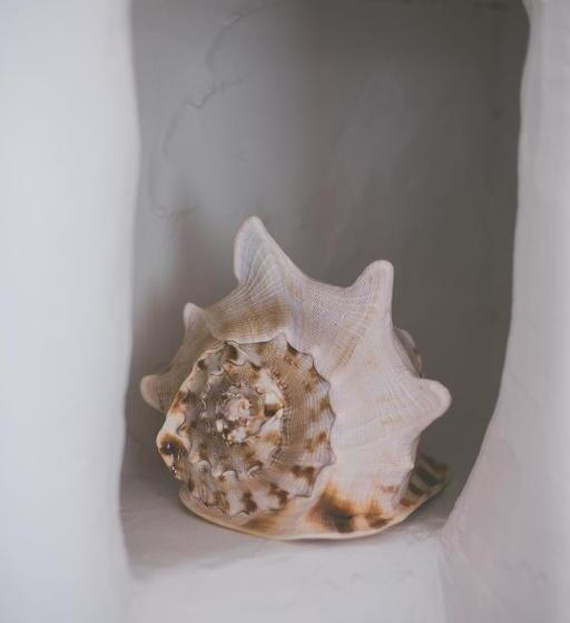 Deluxe Suite Sea View, Bayards Cove Inn