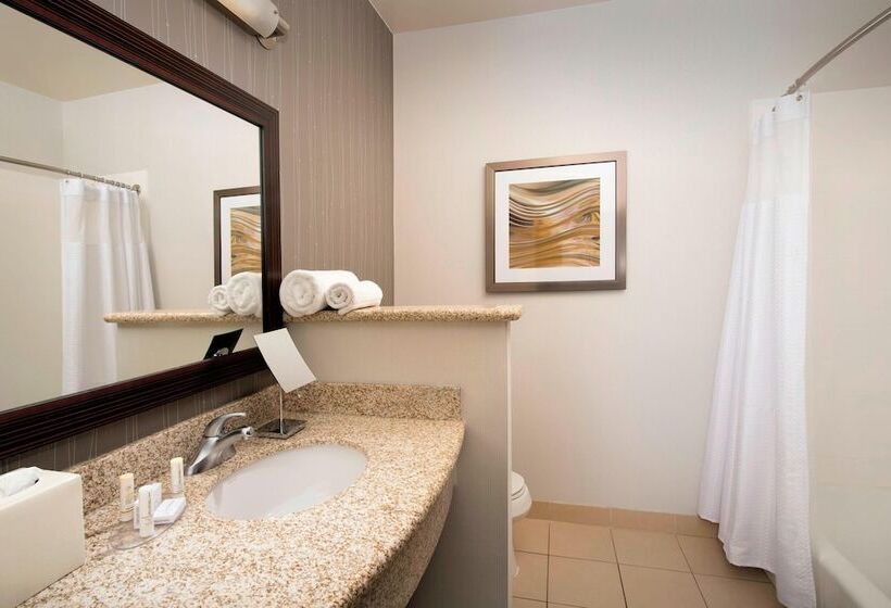 Standart Oda, Courtyard By Marriott Tyler