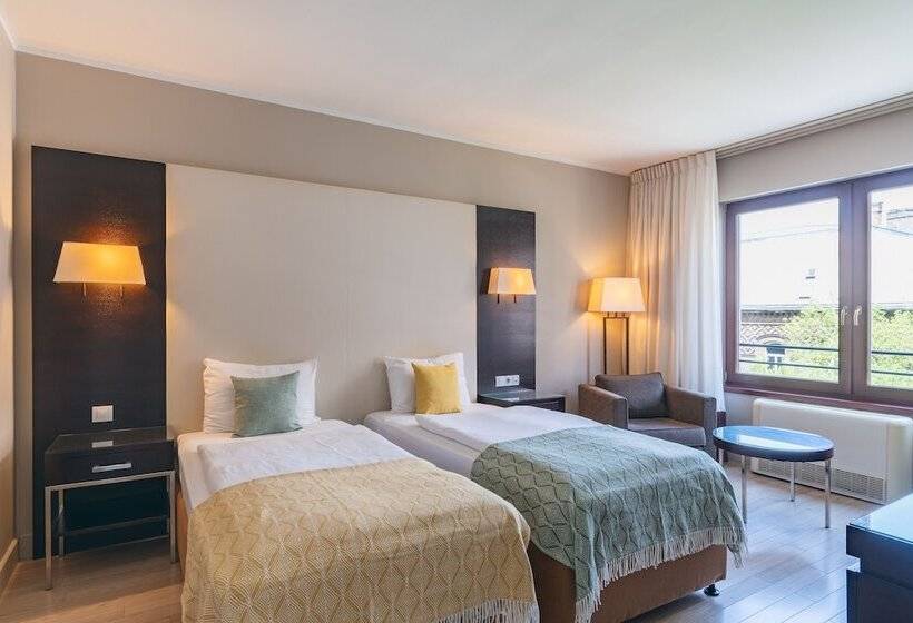 이그제큐티브 룸, Lion S Garden