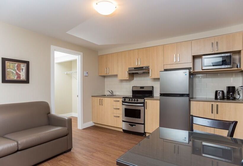 带1个卧室的公寓, Motel Et Appartements Du Fleuve