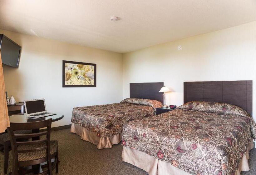 带2个双人床的标准工作室, Motel Et Appartements Du Fleuve