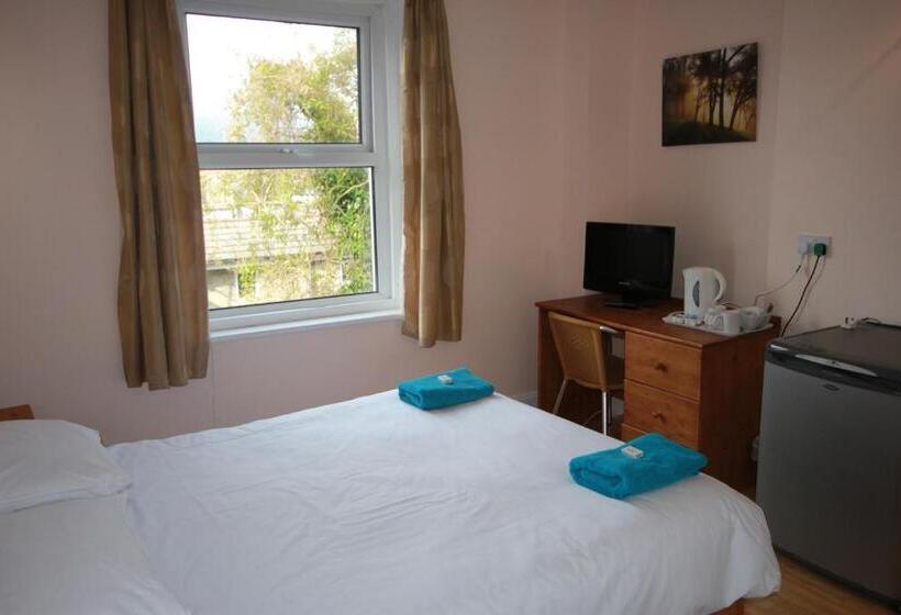 스탠다드 룸, Dolphins