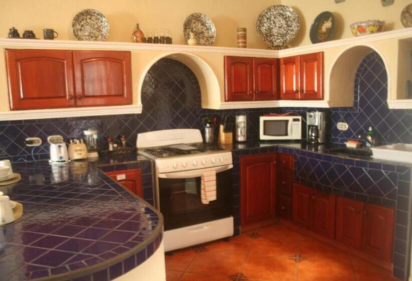 سوئیت 2 خوابه, Xalteva