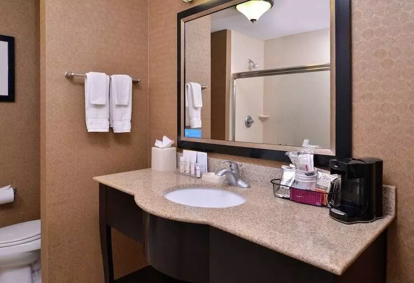 ダブルベッドのスタンダードスタジオ, Hampton Inn & Suites Woodward