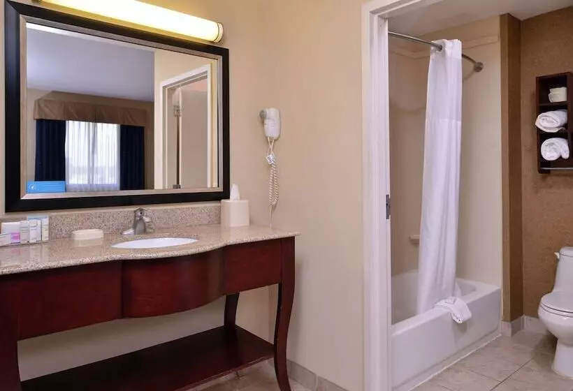 ダブルベッドのスタンダードスタジオ, Hampton Inn & Suites Woodward