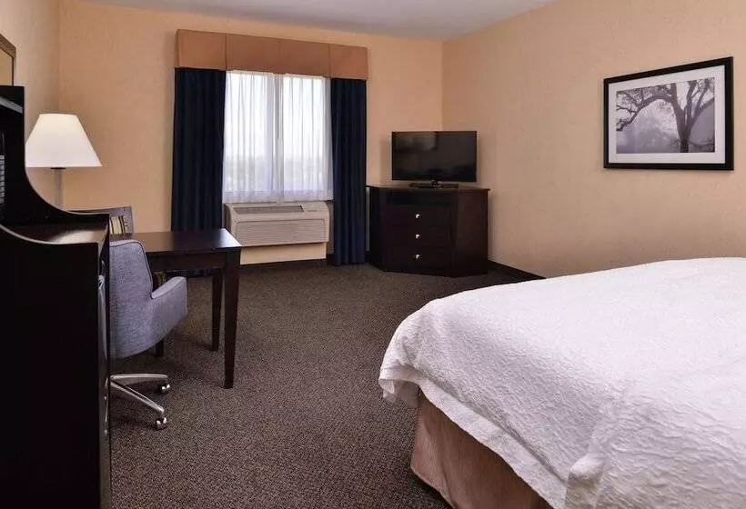 ダブルベッドのスタンダードスタジオ, Hampton Inn & Suites Woodward