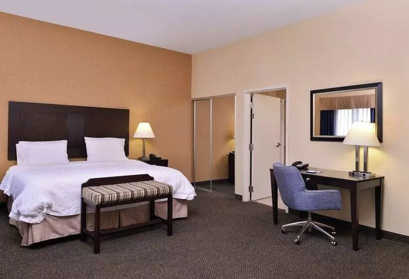 ダブルベッドのスタンダードスタジオ, Hampton Inn & Suites Woodward