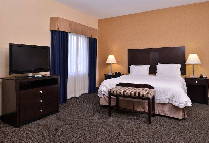 إستوديو قياسى سرير مزدوج, Hampton Inn & Suites Woodward