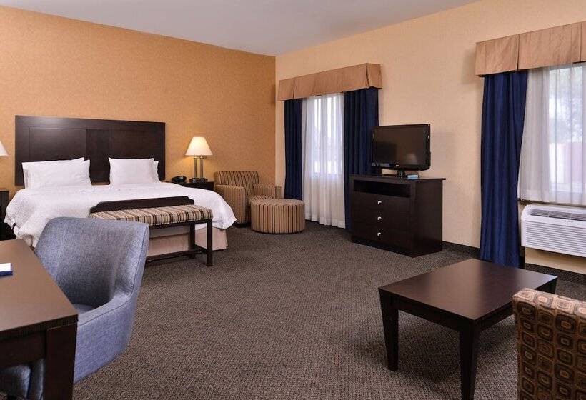 إستوديو قياسى سرير مزدوج, Hampton Inn & Suites Woodward
