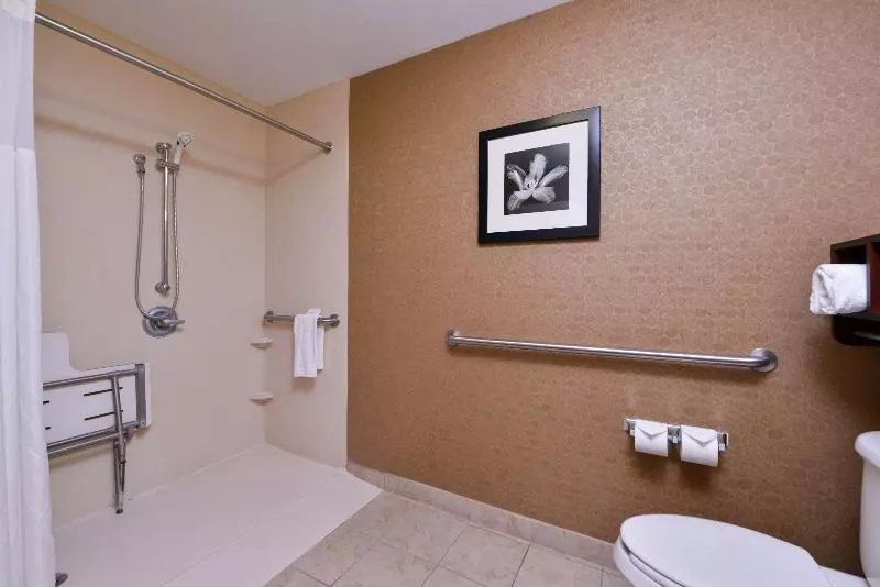 キングサイドベッドのスタンダードワンルーム, Hampton Inn & Suites Woodward