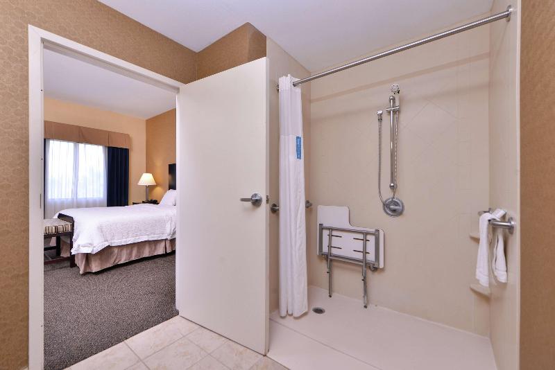 إستوديو قياسى سرير كينج, Hampton Inn & Suites Woodward