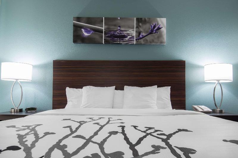 带大床的标准间, Sleep Inn & Suites Washington Near Peoria