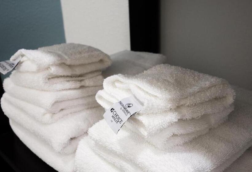 Стандартный Номер Кровать Кинг, Sleep Inn & Suites Washington Near Peoria