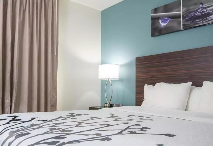 Standard-huone King-vuode, Sleep Inn & Suites Washington Near Peoria