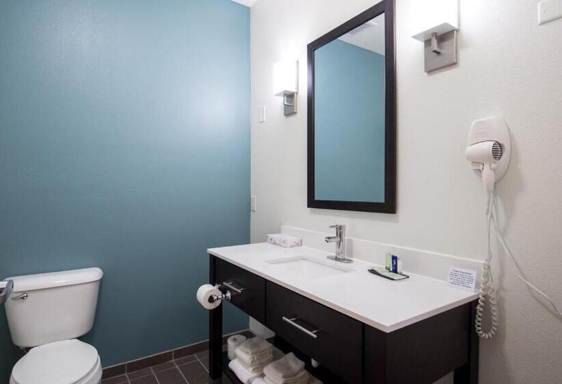 带大床的标准间, Sleep Inn & Suites Washington Near Peoria