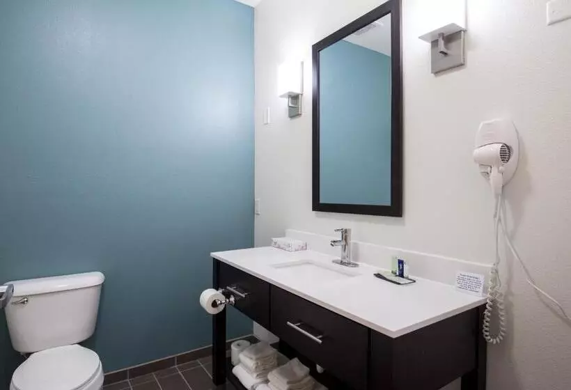 Standard-huone King-vuode, Sleep Inn & Suites Washington Near Peoria
