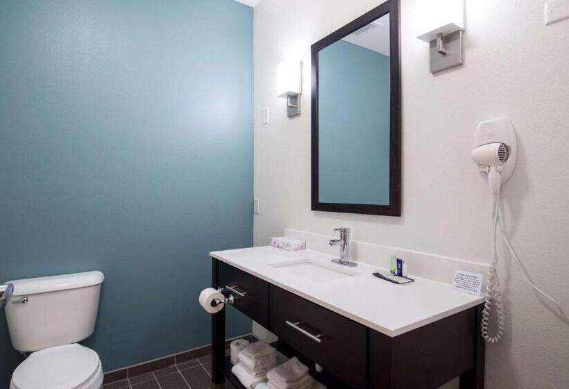 带大床的套房, Sleep Inn & Suites Washington Near Peoria