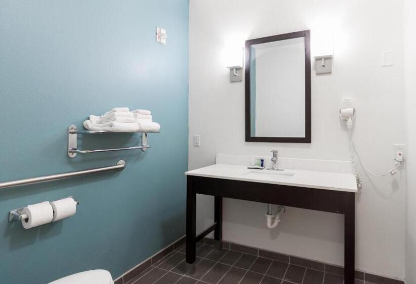 Люкс Адаптированный для Инвалидов, Sleep Inn & Suites Washington Near Peoria