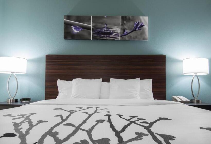 Люкс Адаптированный для Инвалидов, Sleep Inn & Suites Washington Near Peoria